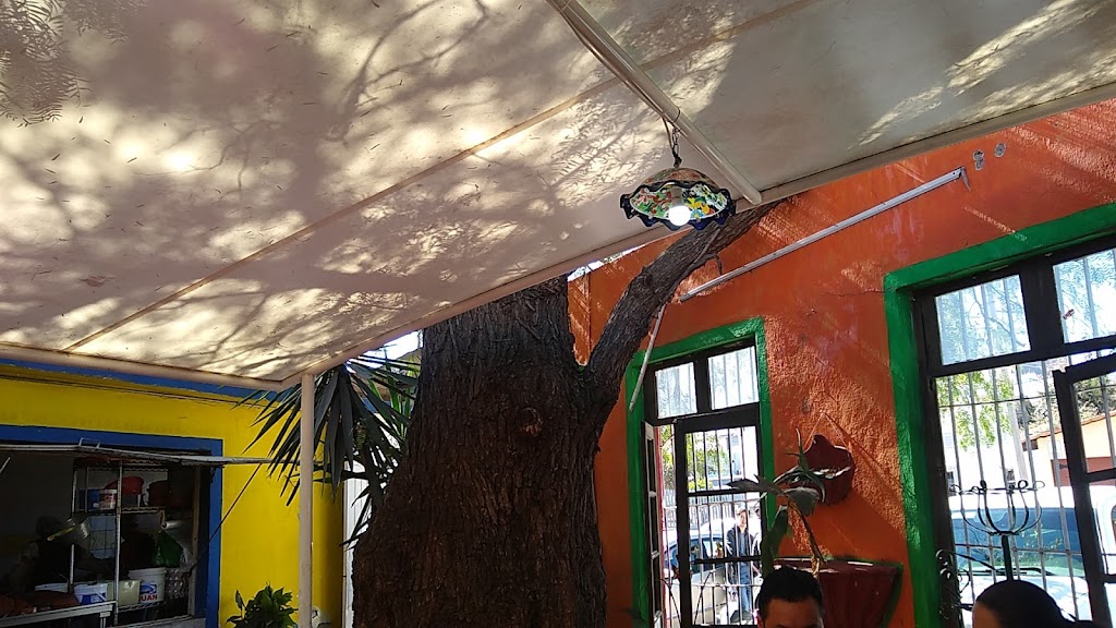 Jardin De Los Canarios