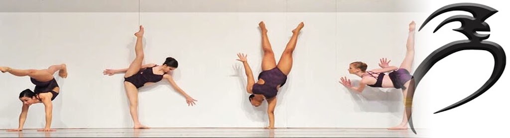  Spartan Dance and Ninja