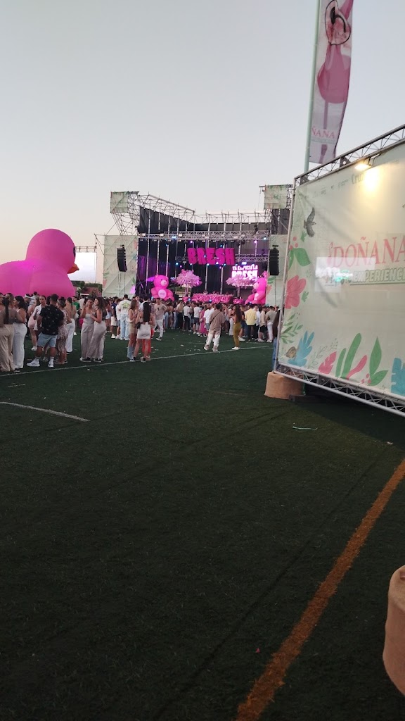 Recinto Musical Surfasaurus