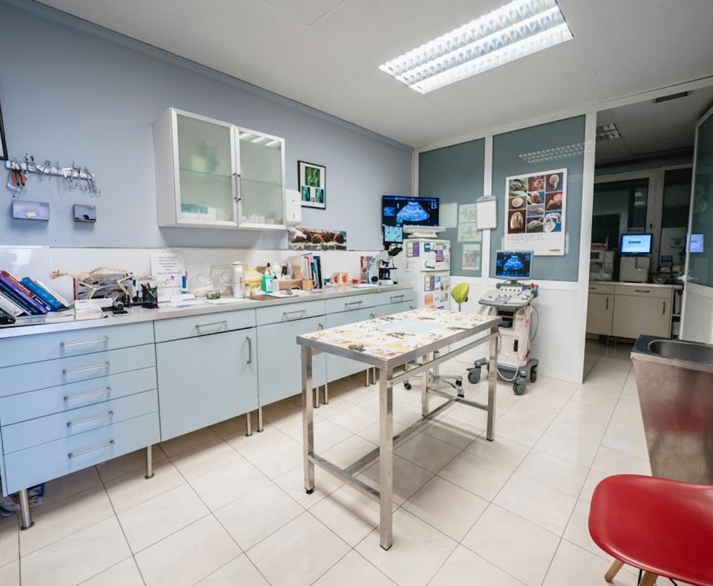 Clinica Veterinaria Castanos — Del propietario