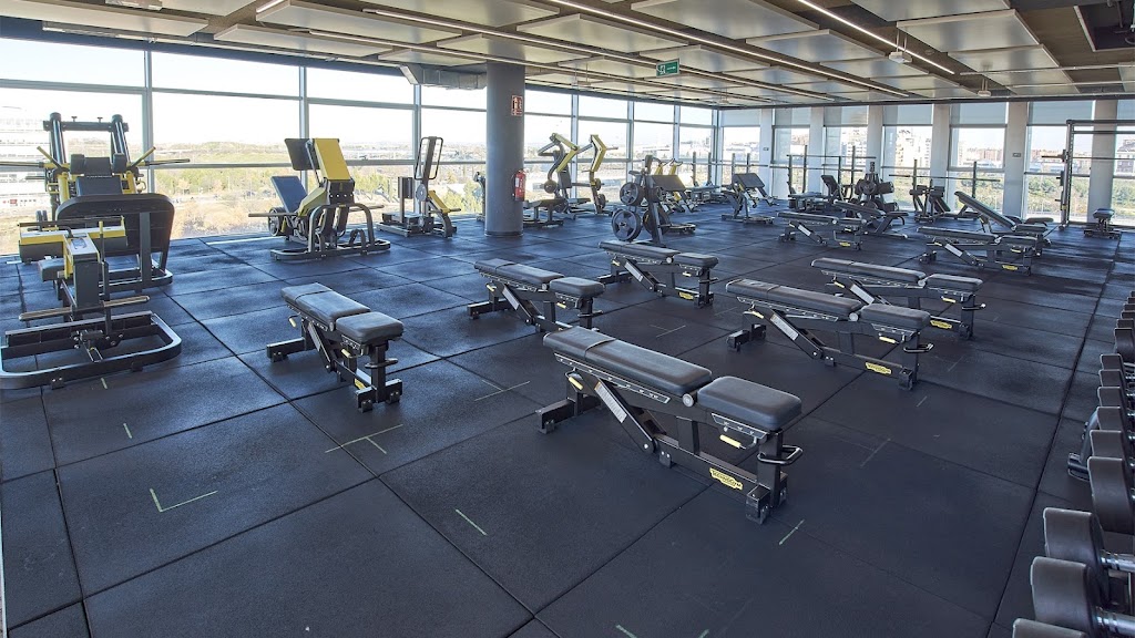 Body Factory La Gavia