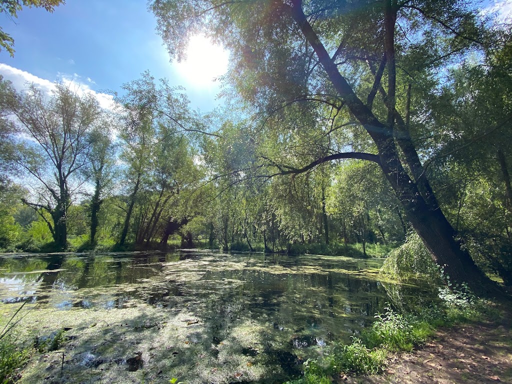 Humedales de la Moixina