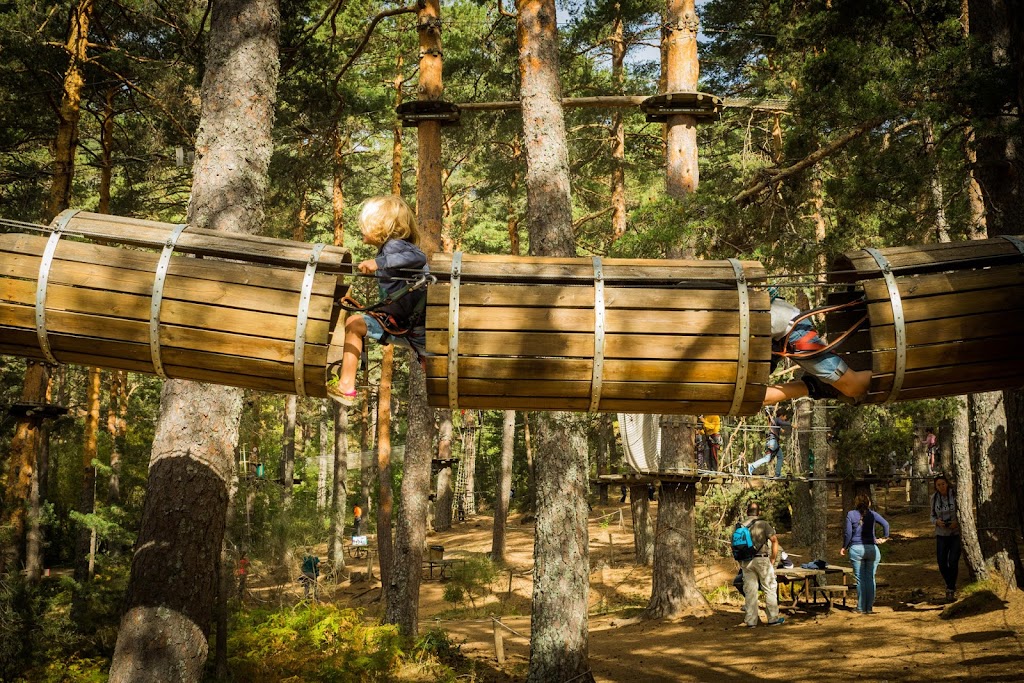 Tirolinas, parque de tirolinas