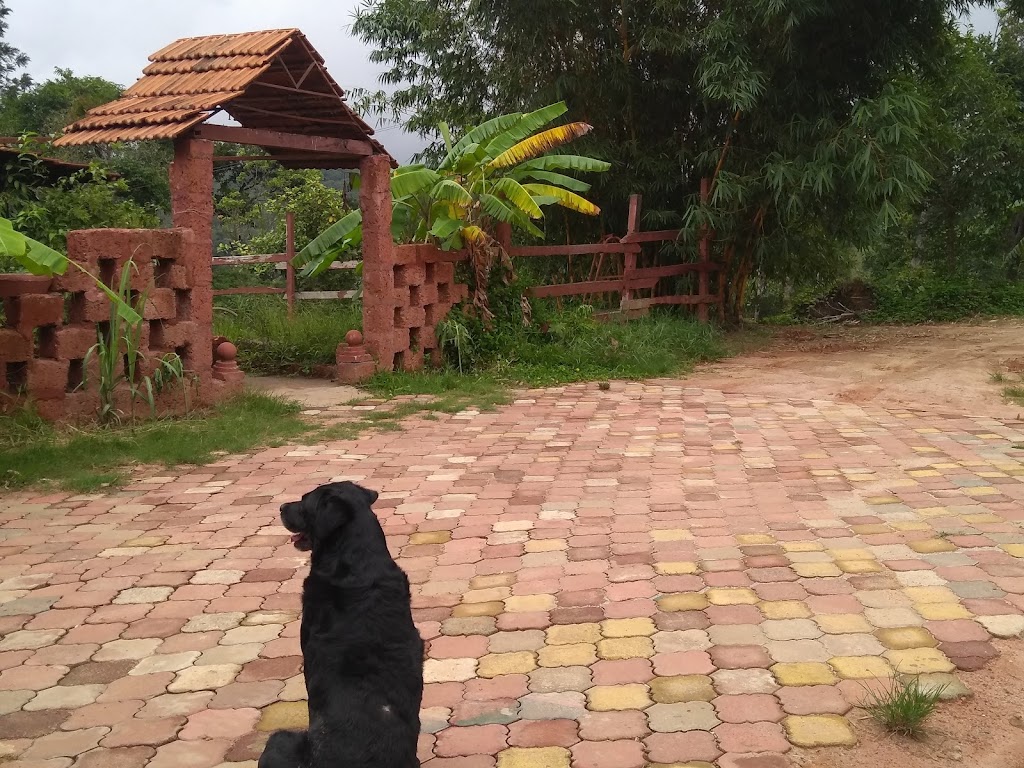 Halemane Homestay Sakleshpur