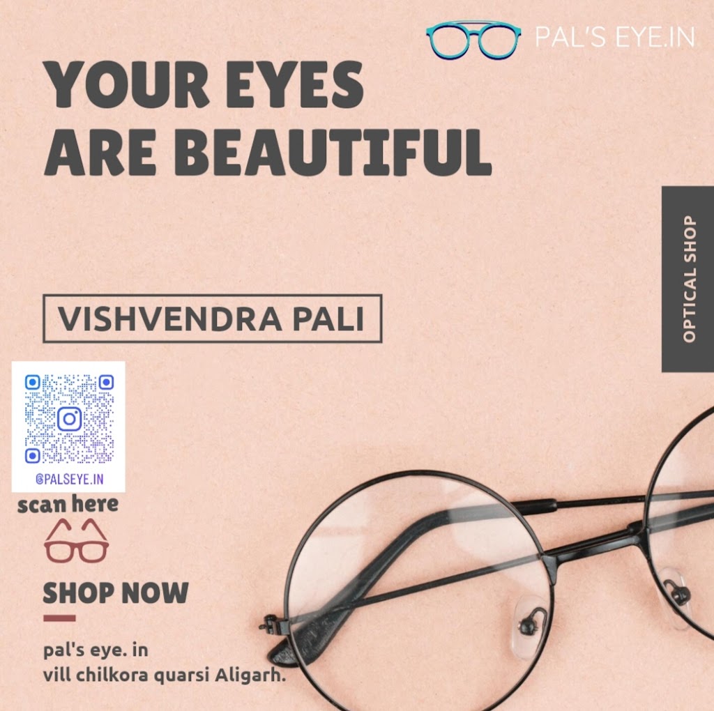 Pal S Eye In