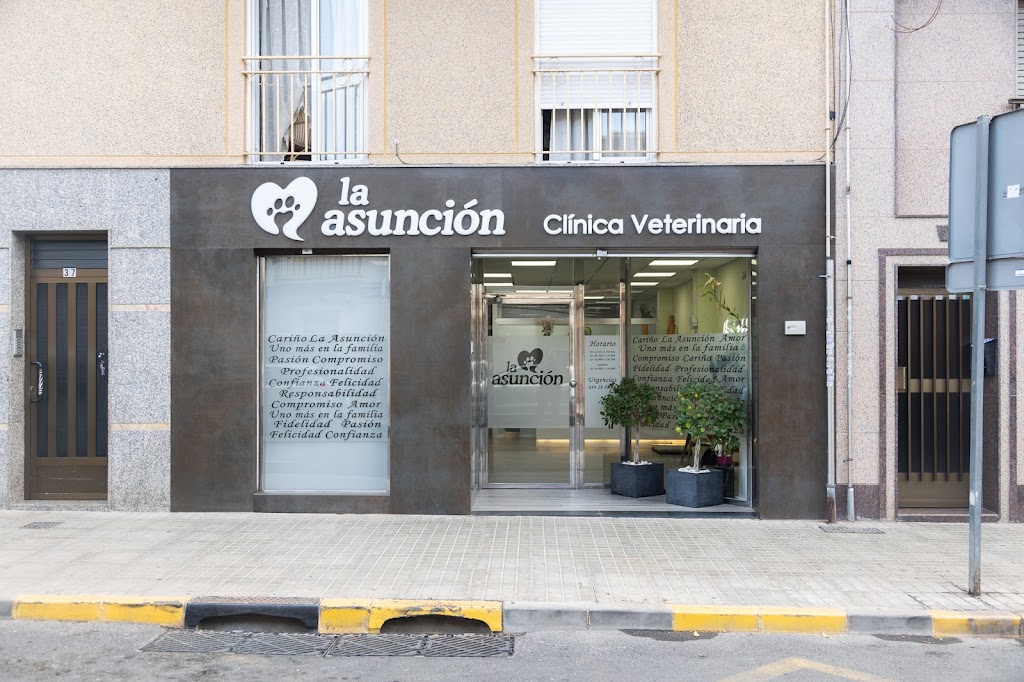Clinica Veterinaria La Asuncion — Del propietario