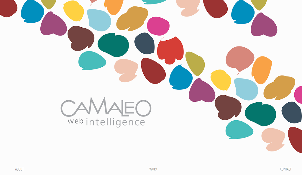 Camaleo Web Intelligence