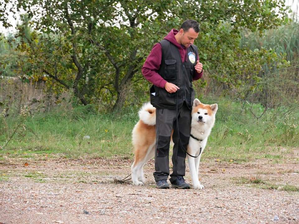 vinculocanino
