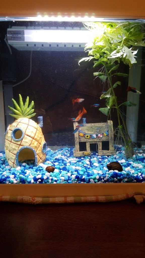 Aquarium