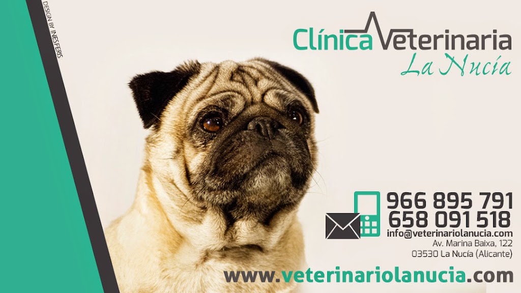 Clinica Veterinaria la Nucia — Perro