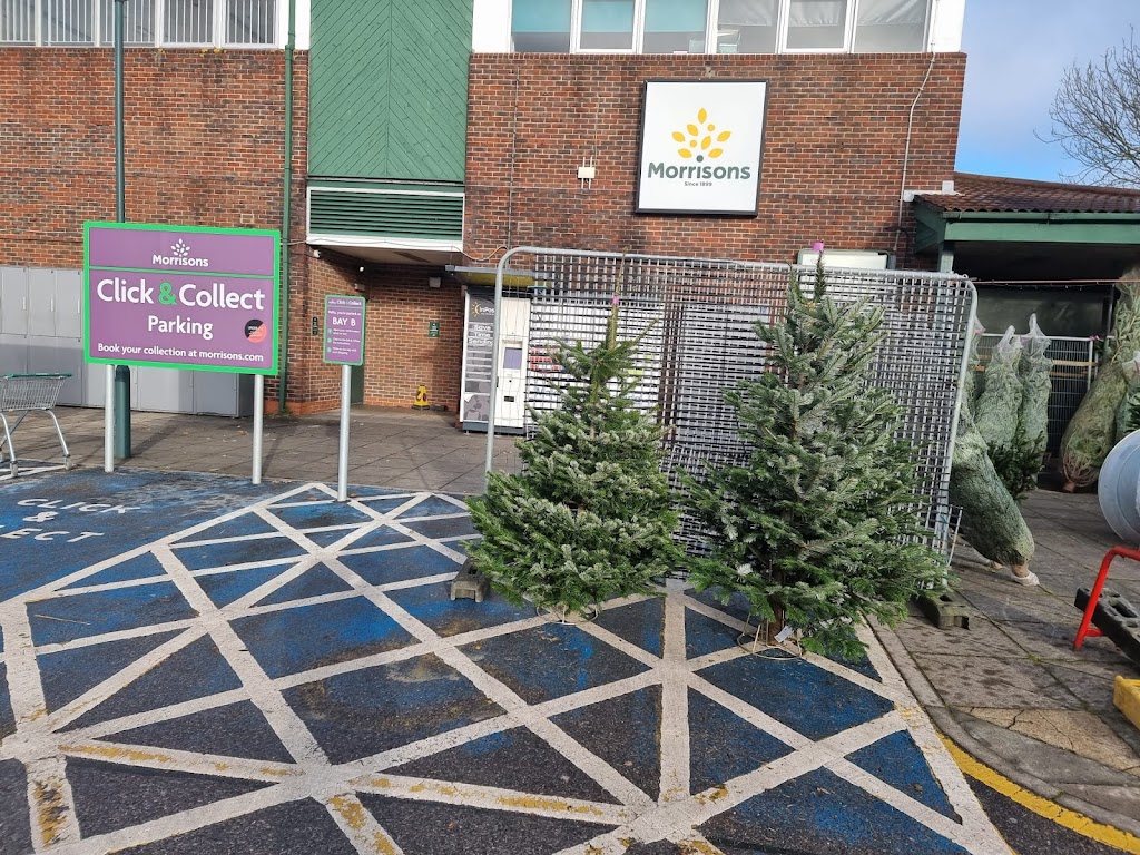 Christmas trees Portsmouth