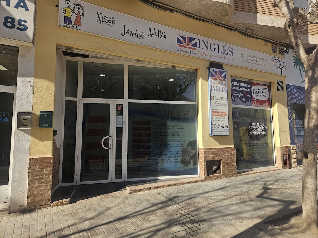 Academia Millington Drake Ingles Cambridge Partner (Moncada)