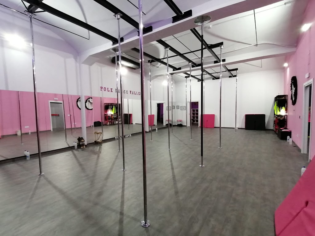 Pole Dance Valles