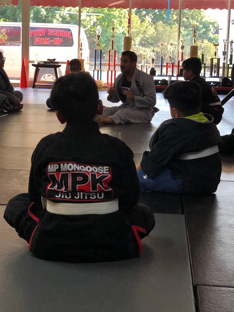  Mongoose Martial Arts