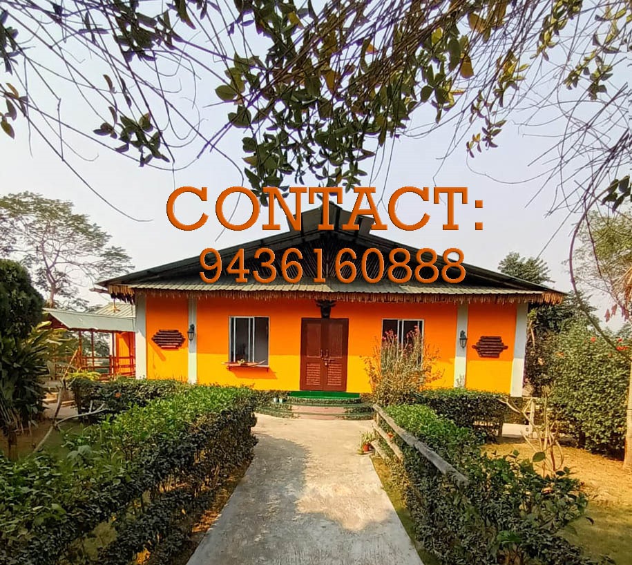 Longchen Homestay