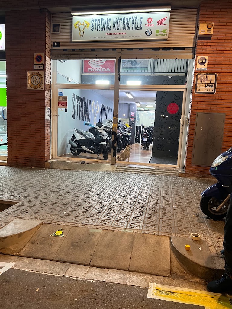 Strong Motorcycle — Exterior