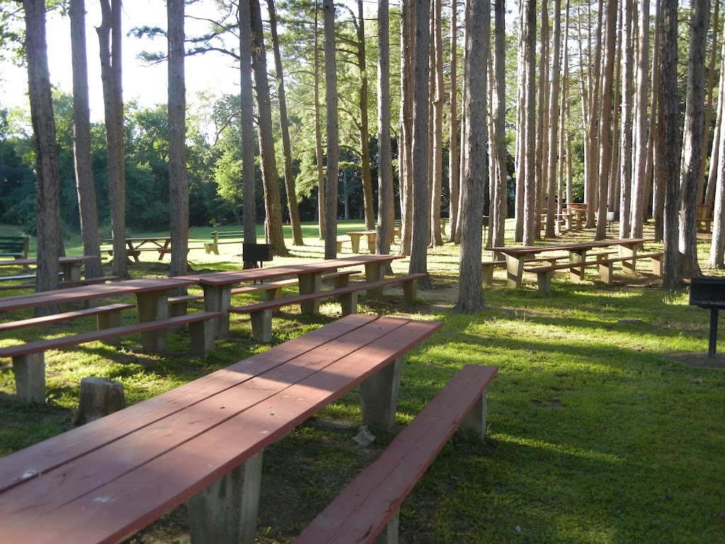 Buttery Brook Park in South Hadley