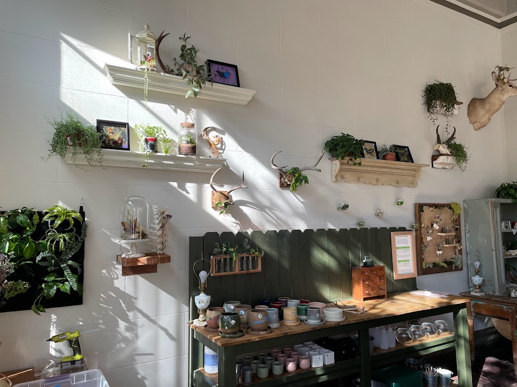 Photo of Little Green A Plant Bar