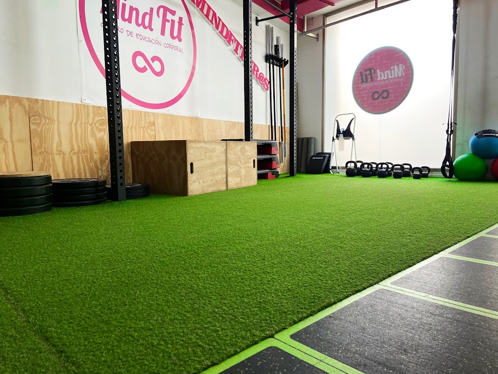 Mind Fit Vinaros -- Entrenador personal, educacion corporal