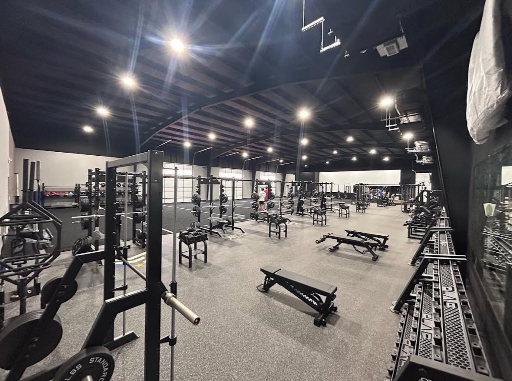  Impact Strength and Performance