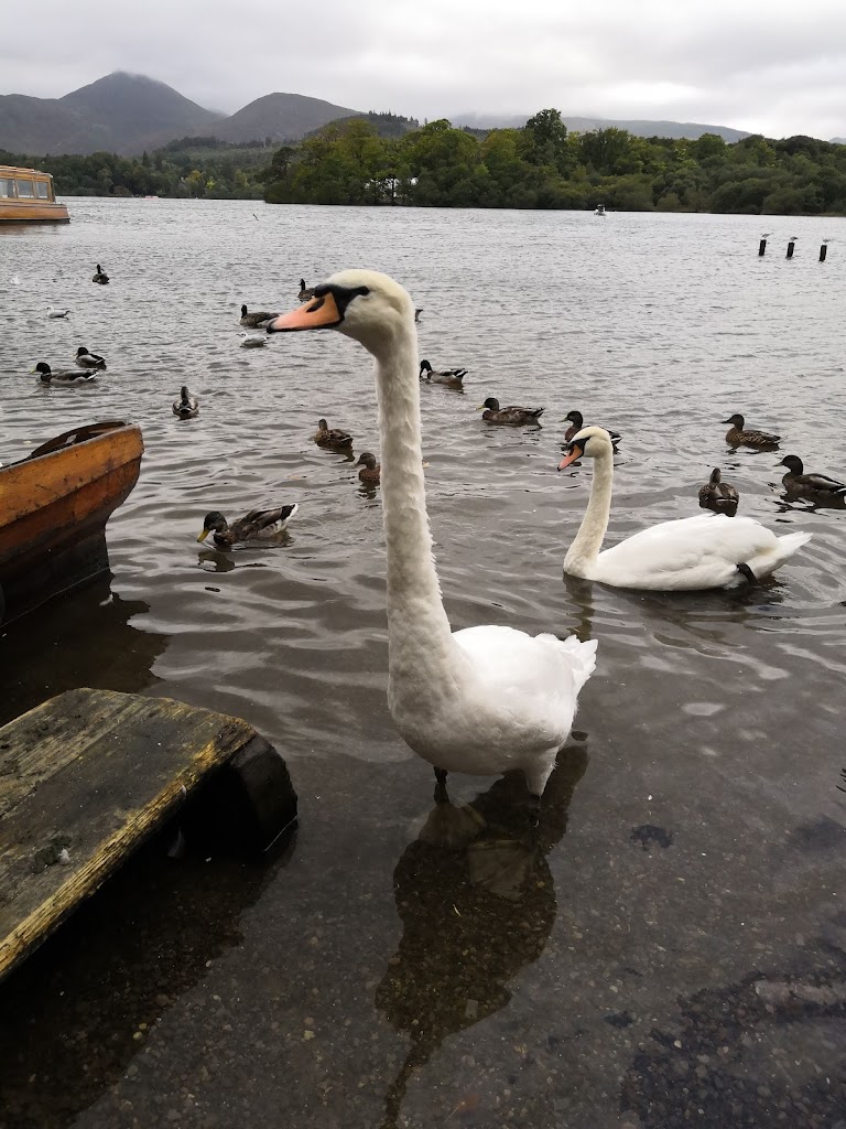 Keswick