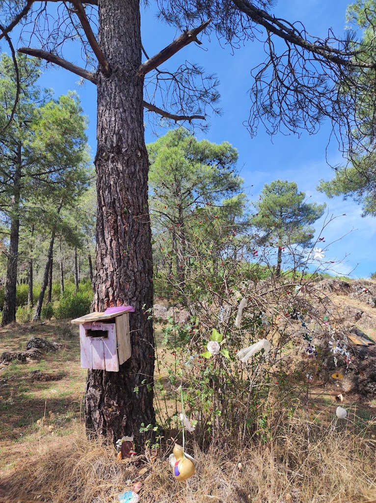 El Bosque Magico