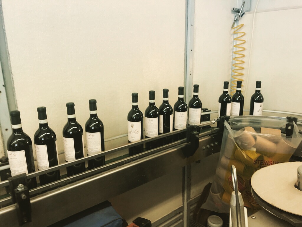 Wine