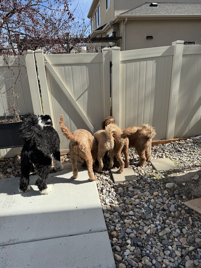 Pet supply store in South-Jordan