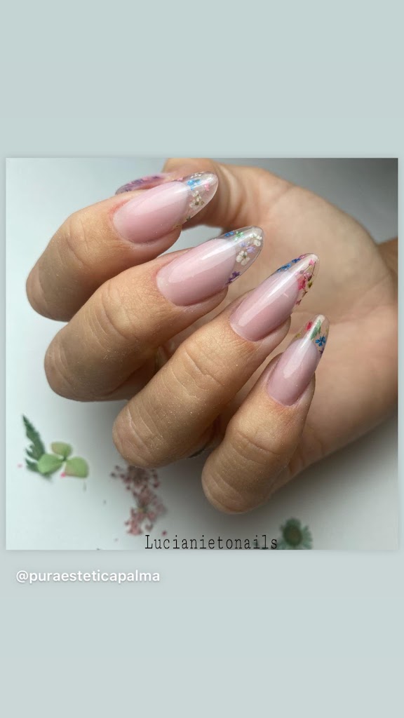 Pura Estetica — Del propietario