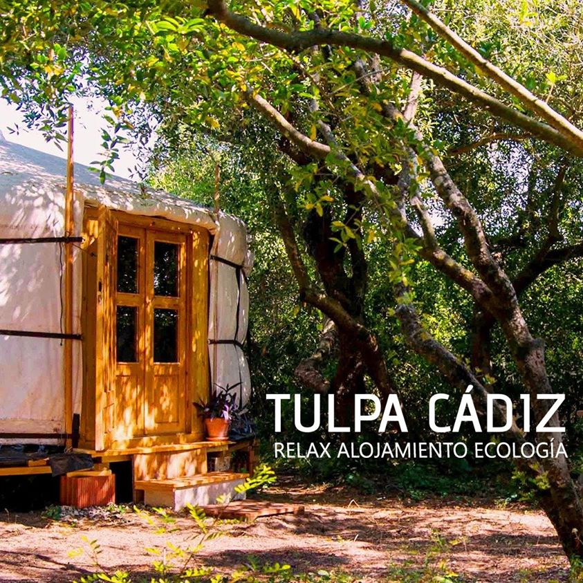 Tulpa Cadiz