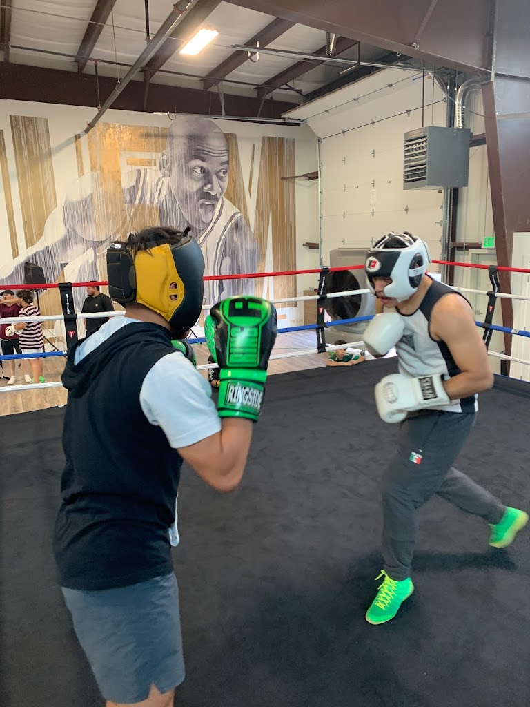  Ikonic-Boxing, Gym, Fitness