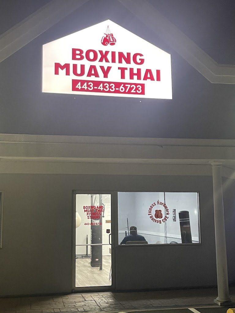  Hard Work 365 Boxing Fitness