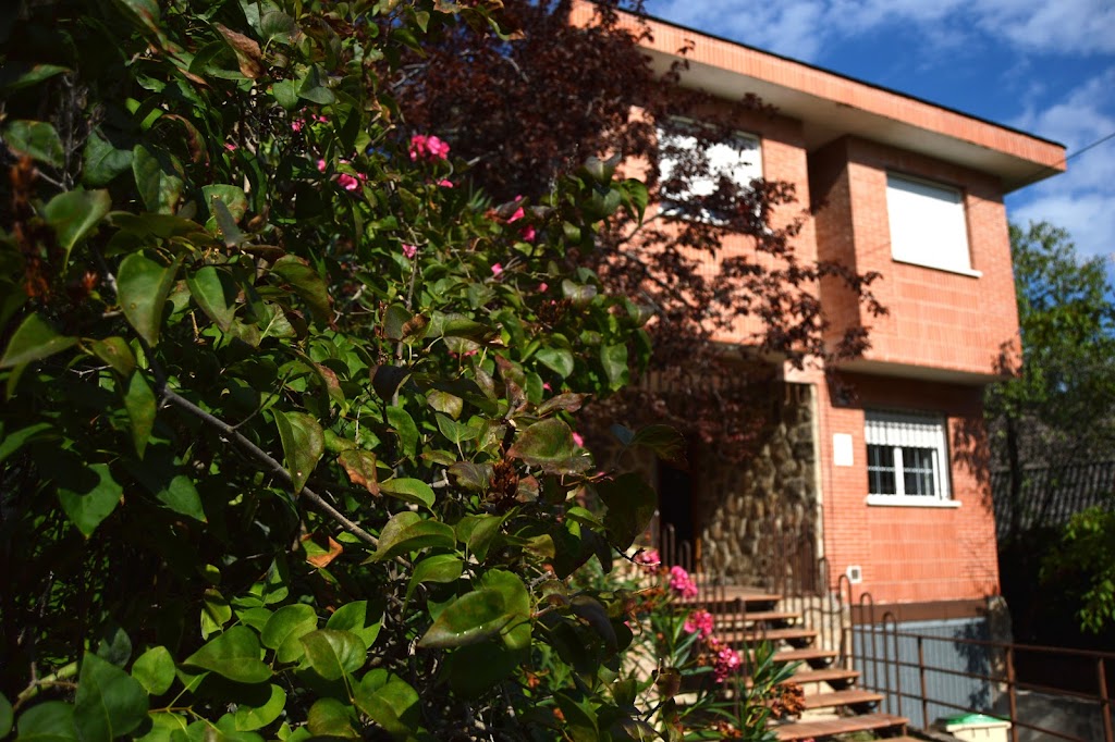 Escuela de Musica John Dowland