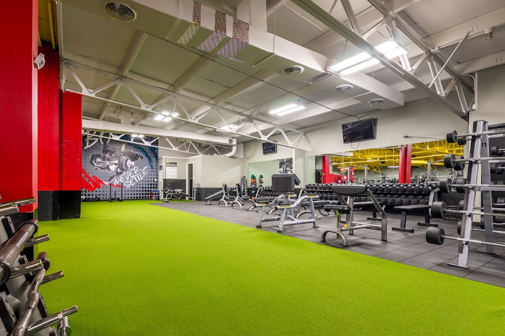  WBO Health & Fitness