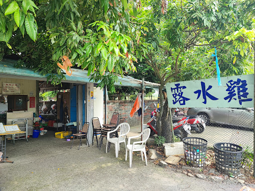 台南柳營露水雞 的照片