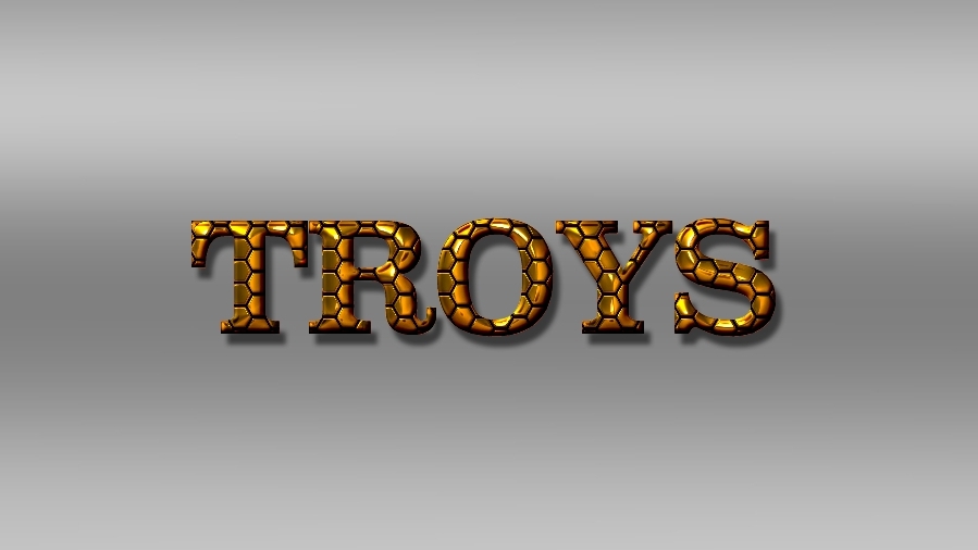 TROYS Food, drinks & coffee — Del propietario