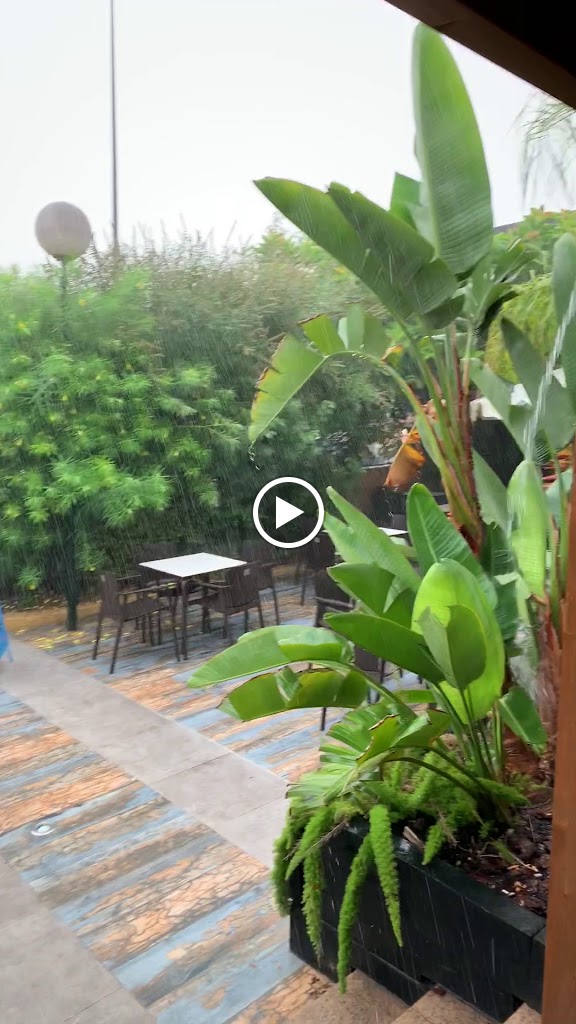 Cafe Haygon Cocktail — Videos