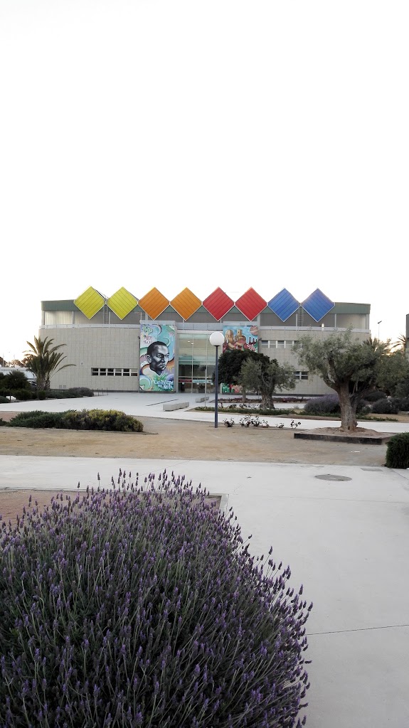 International Tennis Academy of Elche (ITAE)