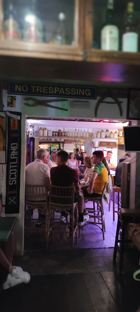 Pub The Irish Viking