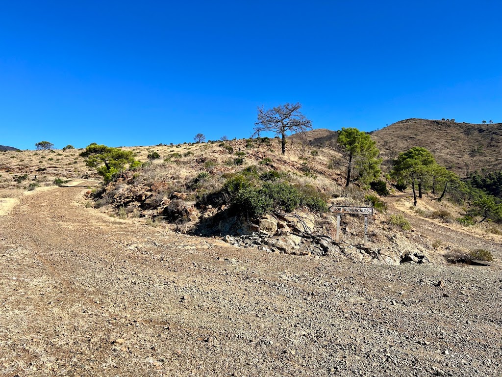 Los Altabacales