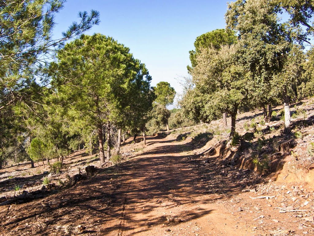Ruta Arroyo Garguera (SL-BA 246) - Inicio de ruta