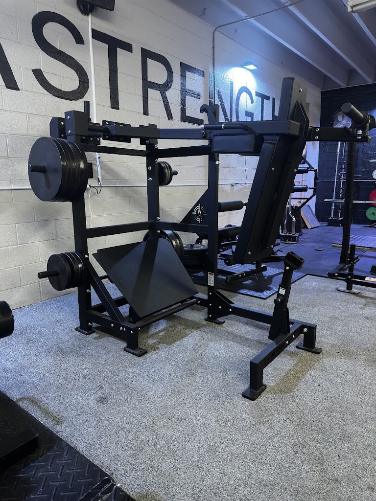  AlphaStrength Gym