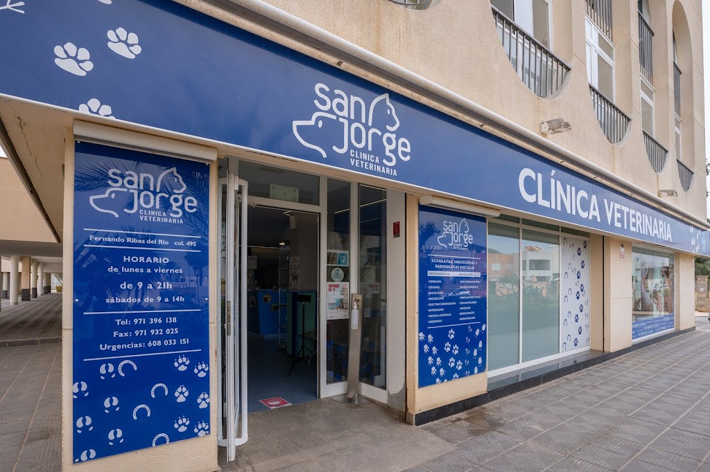 Clinica Veterinaria San Jorge