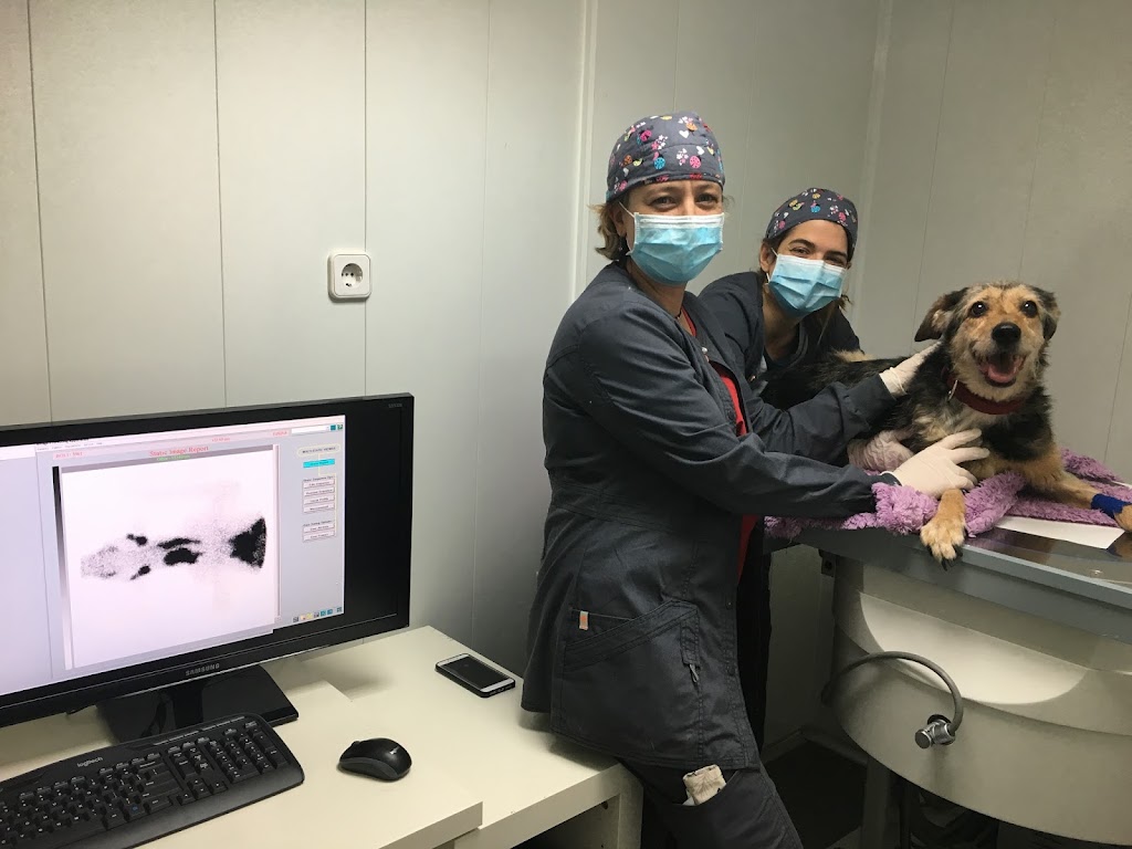 Clinica Veterinaria Leganes Norte