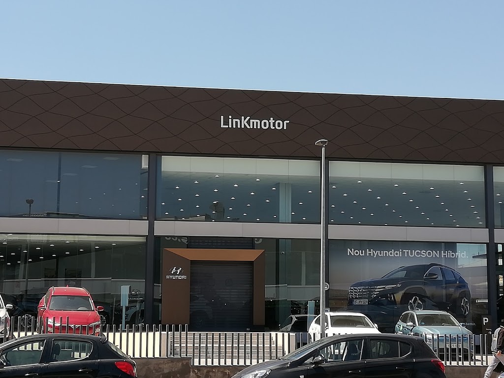 Hyundai Linkmotor — Del propietario