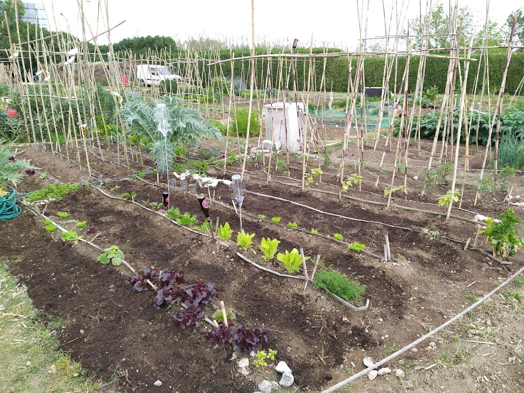 Huertos de Ocio de Gava