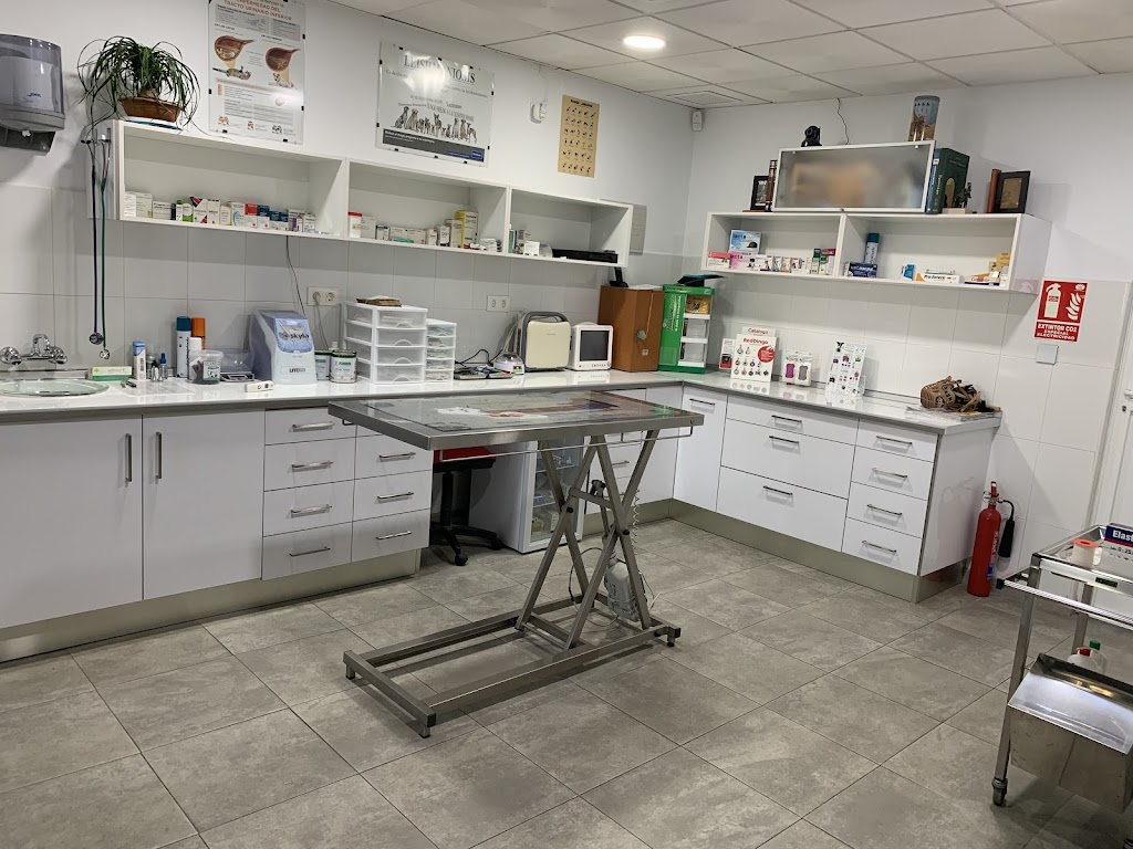 vet Clinica veterinaria