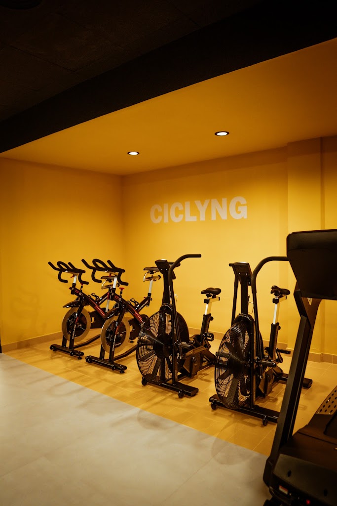 Apolo Fitness Boxing