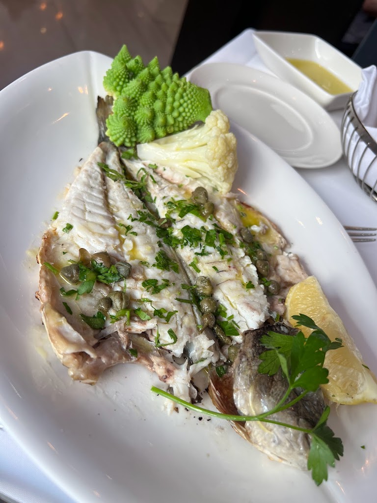 Sea bass
