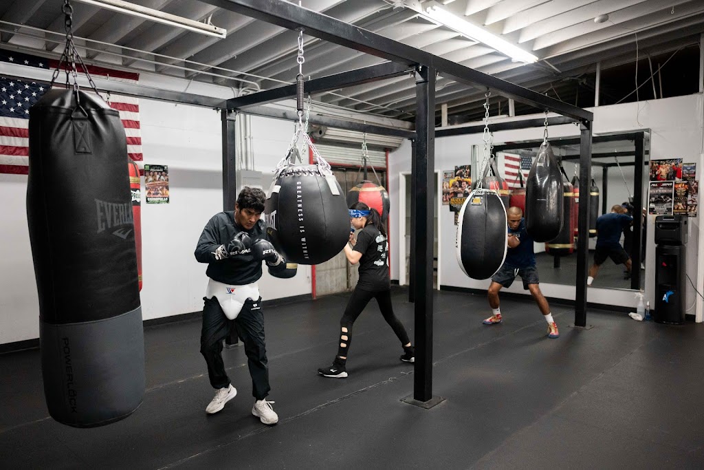  Shark Sports Boxing Gym